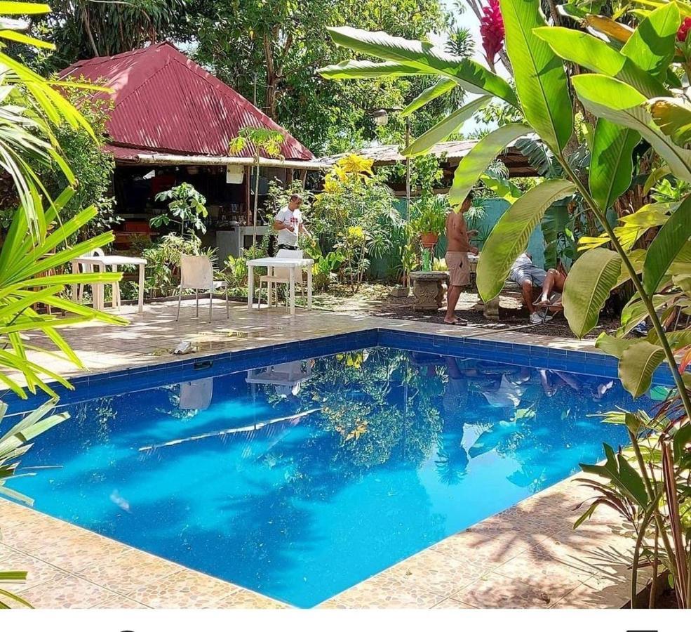 Bambu Hostel David Extérieur photo
