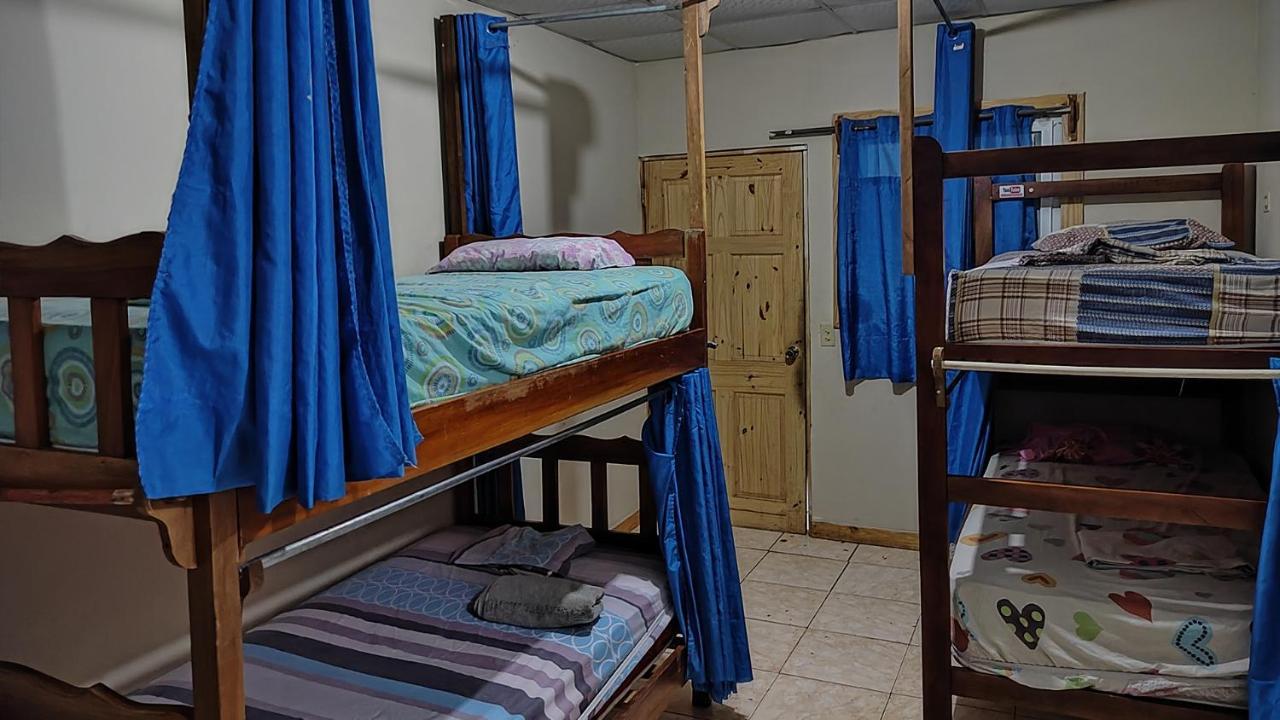 Bambu Hostel David Extérieur photo